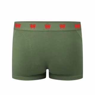 Bokserki męskie WILD FORCE KHAKI