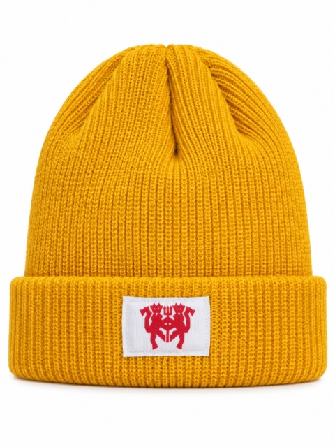 Czapka Zimowa Beanie ZR